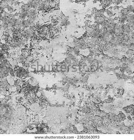 Shabby Stone Texture. Black and White Background. Texturized stone