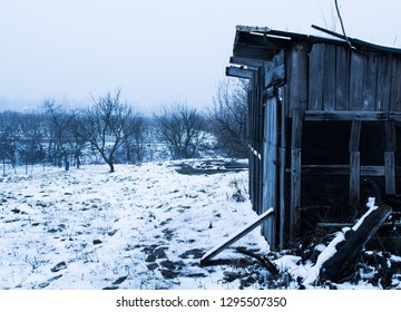 The Shack of Horror