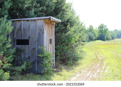 Shack in the woods with grassy drive way. Old small cabin surrounded by pine trees in the wilderness. Deer blind off of two track road. - Powered by Shutterstock