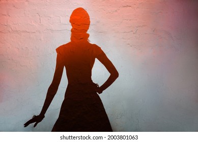 Shade Of Beautiful Elegant Woman Posing In Spotlight During Fashion Show, Home Party Show