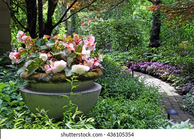 Shade Garden With Begonias And Impatients. 