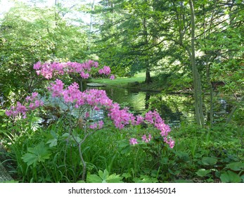Toledo Botanical Garden Images Stock Photos Vectors Shutterstock