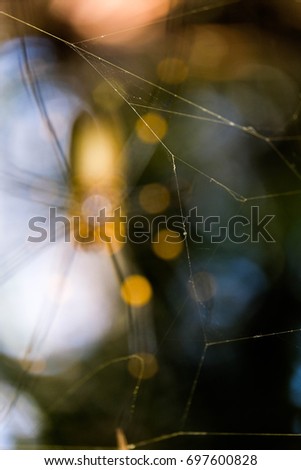 Similar – Image, Stock Photo Lavender BLUE Nature