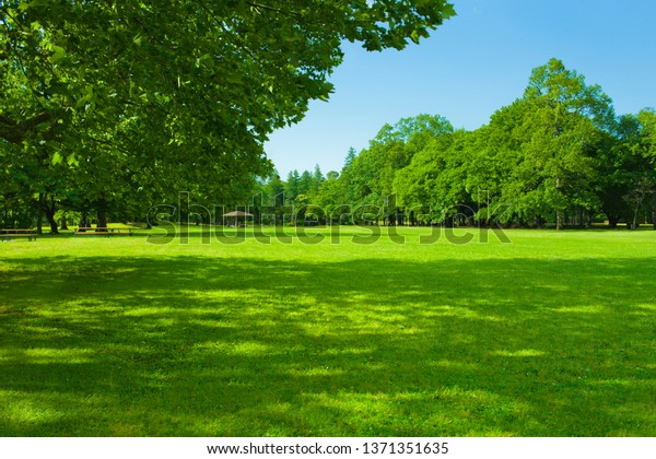 Shade Tree Garden Stock Photo (Edit Now) 1371351635