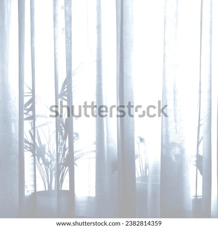 Similar – Image, Stock Photo Houseplants behind the curtain