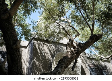 Shaded Outside Dining Area At A Napa Valley Winery