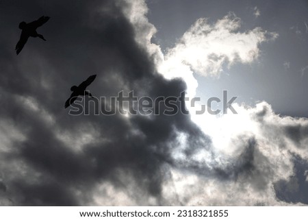 Shaded sky view of sunbeams behind clouds and two silhouettes of ducks in flight