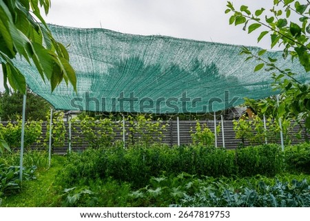 Shading net stretched over the vegetable garden. Protecting vegetable beds from the sun.