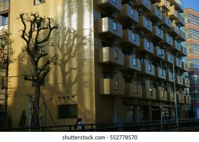 shadow,