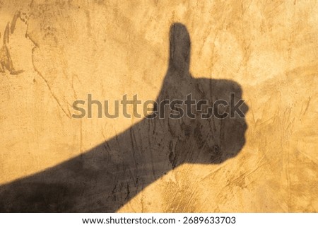 Shadow of Approval: A close-up shot capturing the dynamic shadow of a hand, forming a thumbs-up gesture against a textured wall, symbolizing affirmation and positive feedback. 