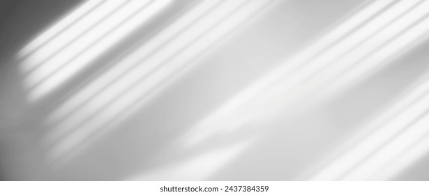 Shadow Background Abstract Leave Overlay Wall Floor Light Effect White Plant Sunlight Backdrop Mockup Minimal Spring Summer Nature Grey blur Photography Scene Template Poster Card Frame Product.