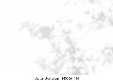 1,048,138 Plant Materials Images, Stock Photos & Vectors | Shutterstock