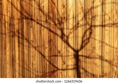 shadow of bare tree brashes cast over wooden fence background patten