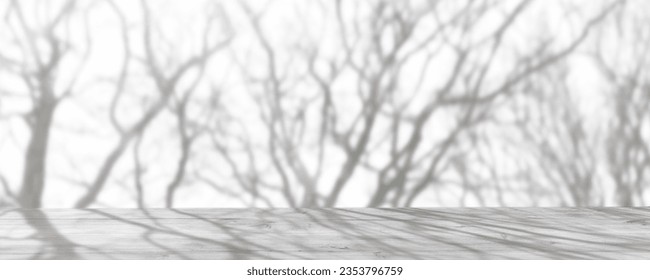 shadow from bare trees on white sunny background with wooden table for presentation space, abstract overlay concept for fall season holidays