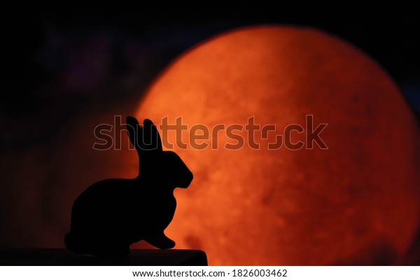 The shadow of a big rabbit was staring at the moon\
in the quiet night. Llike a legend comes from markings on the moon\
that look like a rabbit standing over a mortar, similar to the “Man\
on the Moon”.