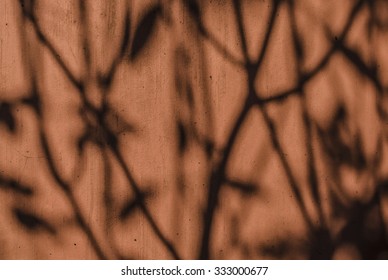shadow of branch on orange wall - Shutterstock ID 333000677