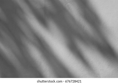 shadow of branches and leaves on white cement wall - Shutterstock ID 676728421