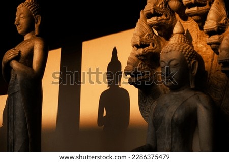 shadow of the buddha
buddha golden hour