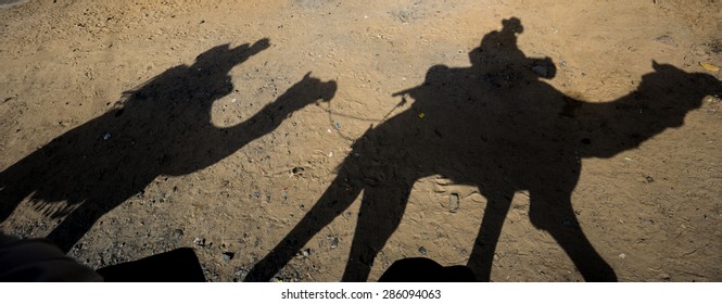 Shadow of camel walking