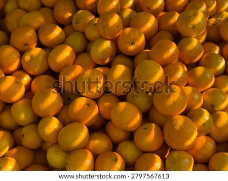 Shadow casts on a pile of oranges 
