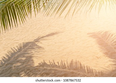 The Shadow Of The Coconut Leaves On The Sand