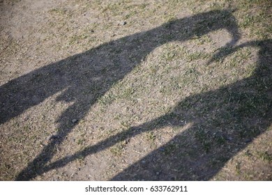Shadow, couple