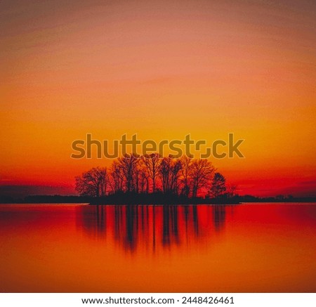 shadow of dark, intertwined leafless trees surrounding a beautiful lake and contrasting with the colorful summer sunset, a mix of incredible colors from orange, red and yellow to pink and coral, vivid