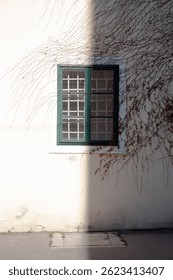 a shadow divides exactly in half a window on the wall of a house with dry ivy branches 