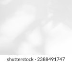 Shadow Effect Background Mockcup Black Frame Shade Wall White Sun Overlay Leaves Plant Abstract Sunlight Nature Leaf Branch Tree Tropic Summer Backdrop Minimal Grey Cement Floor Template Room 3d Bg.