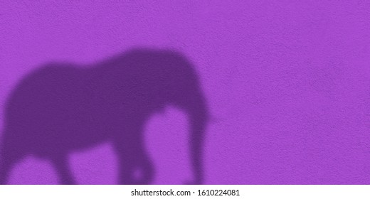 Elephant Shadow 图片、库存照片和矢量图 Shutterstock