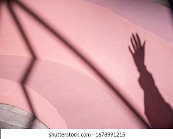 Shadow Of A Female Hand On A Pink Background