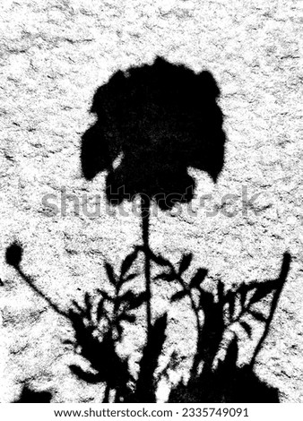 shadow flower black light​ blackandwhite​