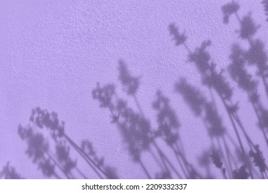 Shadow of flowers on purple concrete wall texture with roughness and irregularities. Abstract trendy colored nature concept background. Copy space for text overlay, poster mockup flat lay  - Shutterstock ID 2209332337