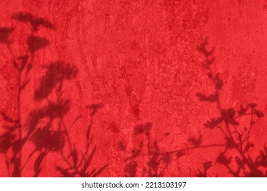 Shadow of glowers and grass on bright red concrete wall texture. Abstract trendy colored nature concept background. Copy space for text overlay, poster mockup flat lay  - Shutterstock ID 2213103197