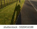 Shadow & the grass