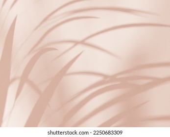 Shadow of grass on beige wall - Shutterstock ID 2250683309