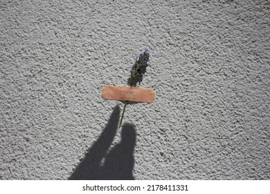 shadow hand holds lavender adhered to the wall with a band-aid