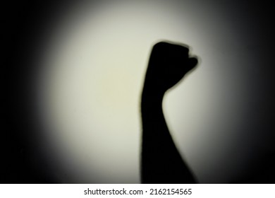 Shadow Of A Hand From The Night Light Of A Flashlight On A White Wall. Dark Silhouette Of A Man Hands From The Light Of A Lamp