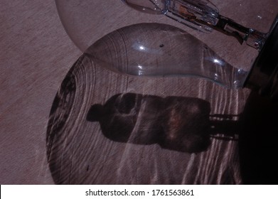 Shadow and inside of a light bulb