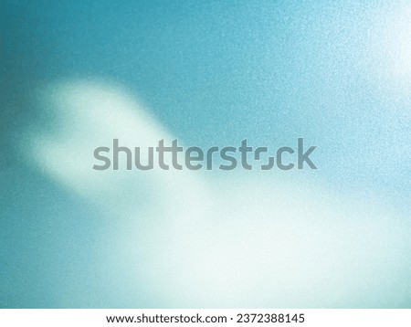 Shadow Leaf Background Abstract Blue Leavse Tree Summer Tropic Plant Overlay White Light Flower Nature Branch Foliage Floor Rose Wall Shade Sunlight from Window Minimal Mockup Template Platform.