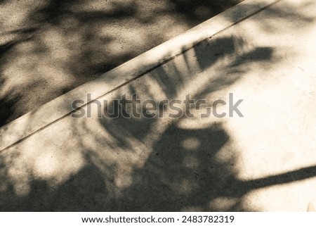 A shadow of a leaf is cast on a sidewalk. The shadow is dark and elongated, stretching across the sidewalk. The scene is quiet and peaceful, with no other people or objects visible