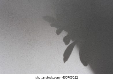 shadow of leaf tree on wall