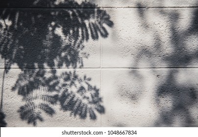 shadow of leaf at wall - Powered by Shutterstock - Get 15% off with code: PIKWIZARD15