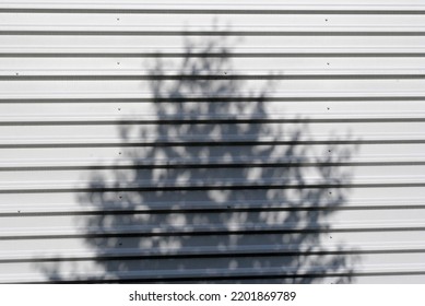 Shadow Of Leafy Tree On Window Blinds In Close Up 