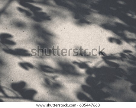 Similar – Image, Stock Photo Shadow of the Tree Summer