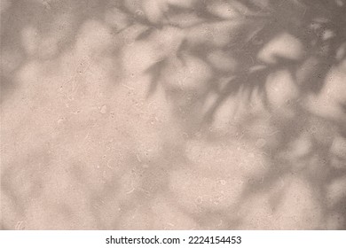 Shadow of leaves and flowers on pink concrete wall texture with roughness and irregularities. Abstract trendy colored nature concept background. Copy space for text overlay, poster mockup flat lay  - Shutterstock ID 2224154453