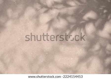 Shadow of leaves and flowers on pink concrete wall texture with roughness and irregularities. Abstract trendy colored nature concept background. Copy space for text overlay, poster mockup flat lay 