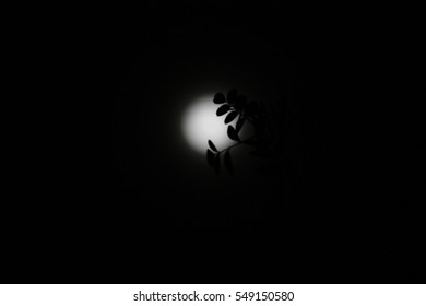 34 Moon Night Sky Stock Photo 1618763170 | Shutterstock