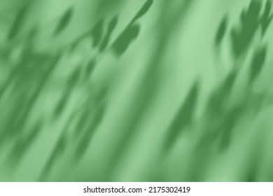 Shadow of leaves on solid pastel green concrete wall texture. Abstract trendy colored nature concept background. Copy space for text overlay, poster mockup flat lay 