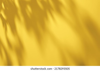 Shadow of leaves on solid yellow concrete wall texture. Abstract trendy colored nature concept background. Copy space for text overlay, poster mockup flat lay  - Shutterstock ID 2178293505